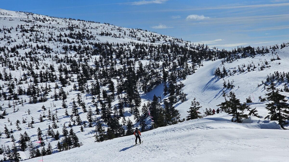 일본의 ‘스노 몬스터’, 아키타 설산 트래킹.