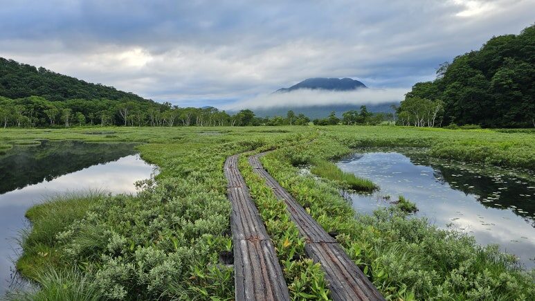 느리고 싶었던 행복의 속도, '오제 국립공원' 트래킹